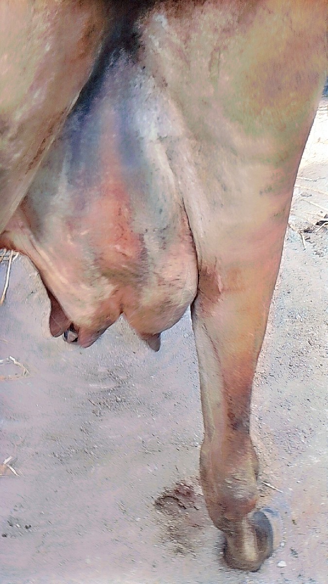 Post Image 2