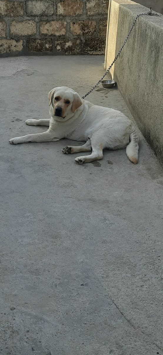 Post Image 2