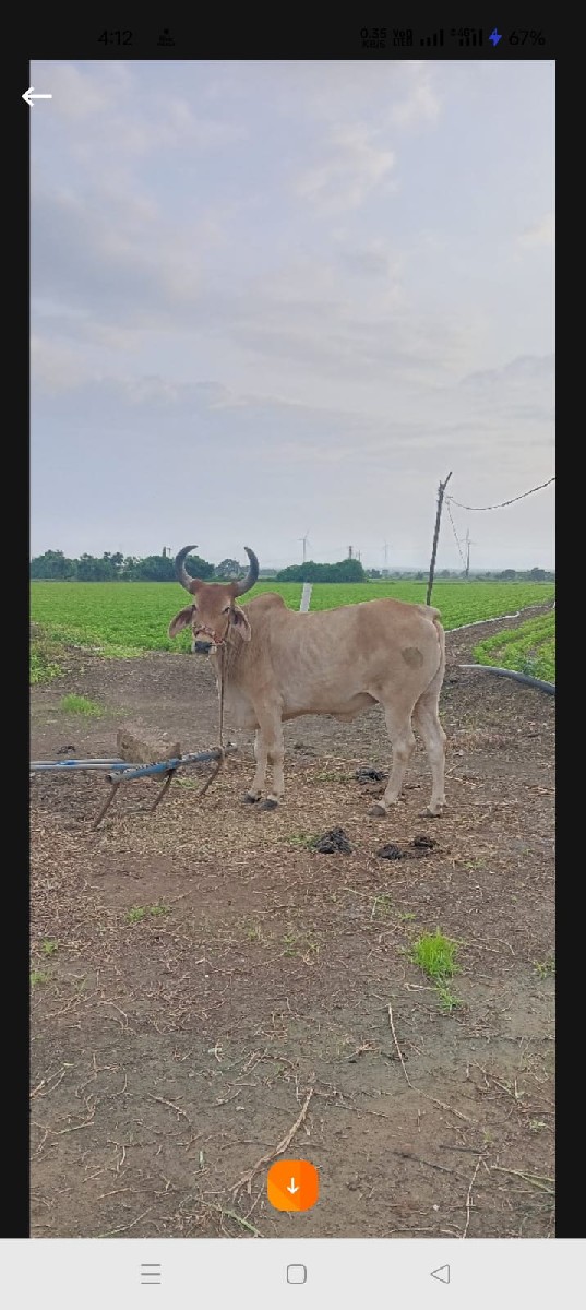 Post Image 3