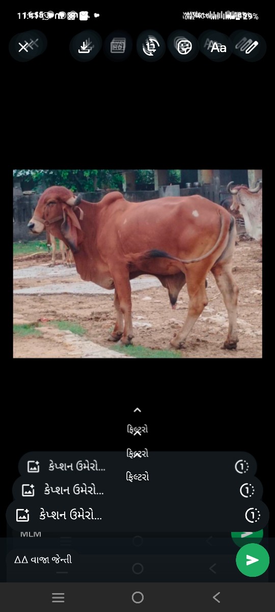 Post Image 4