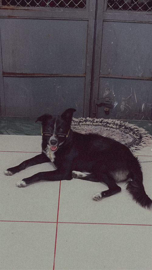 Post Image 1