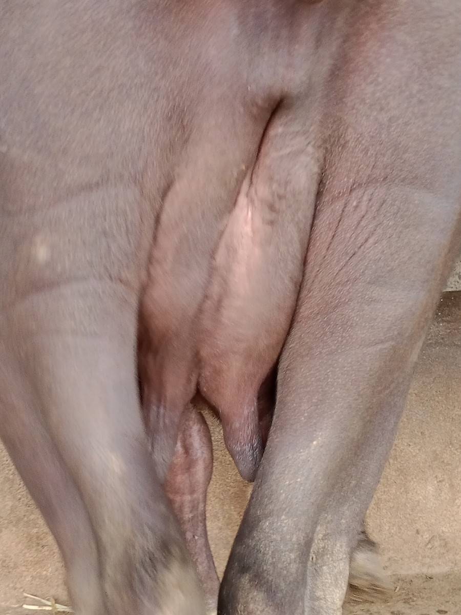 Post Image 3