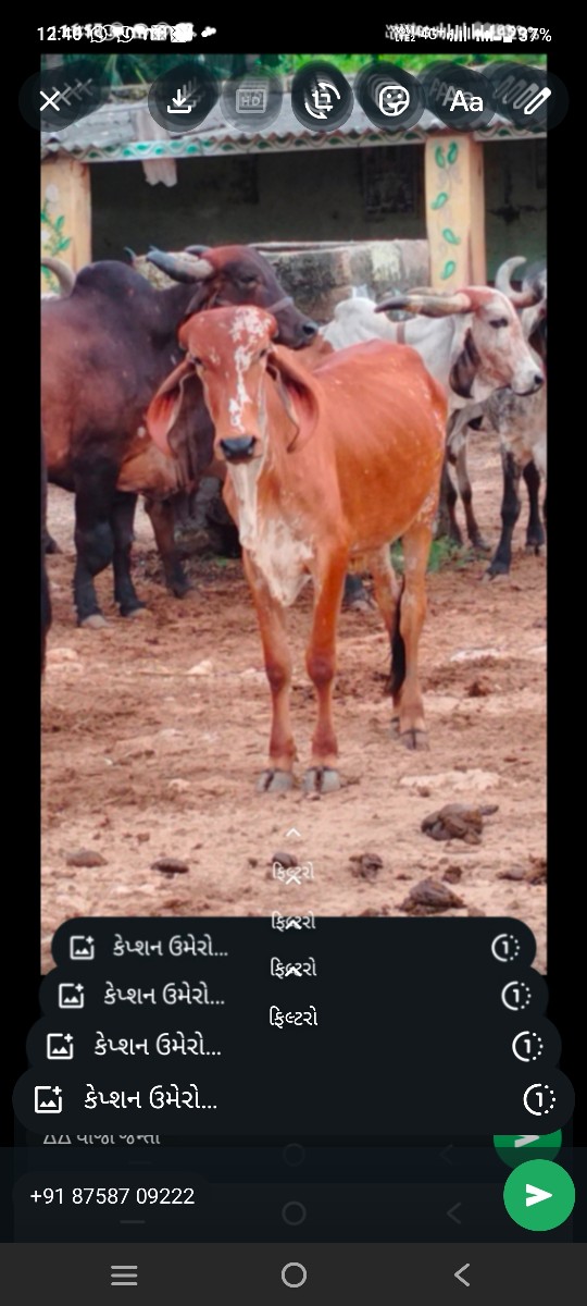 Post Image 4