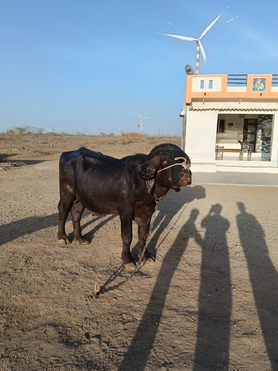 Post Image 2