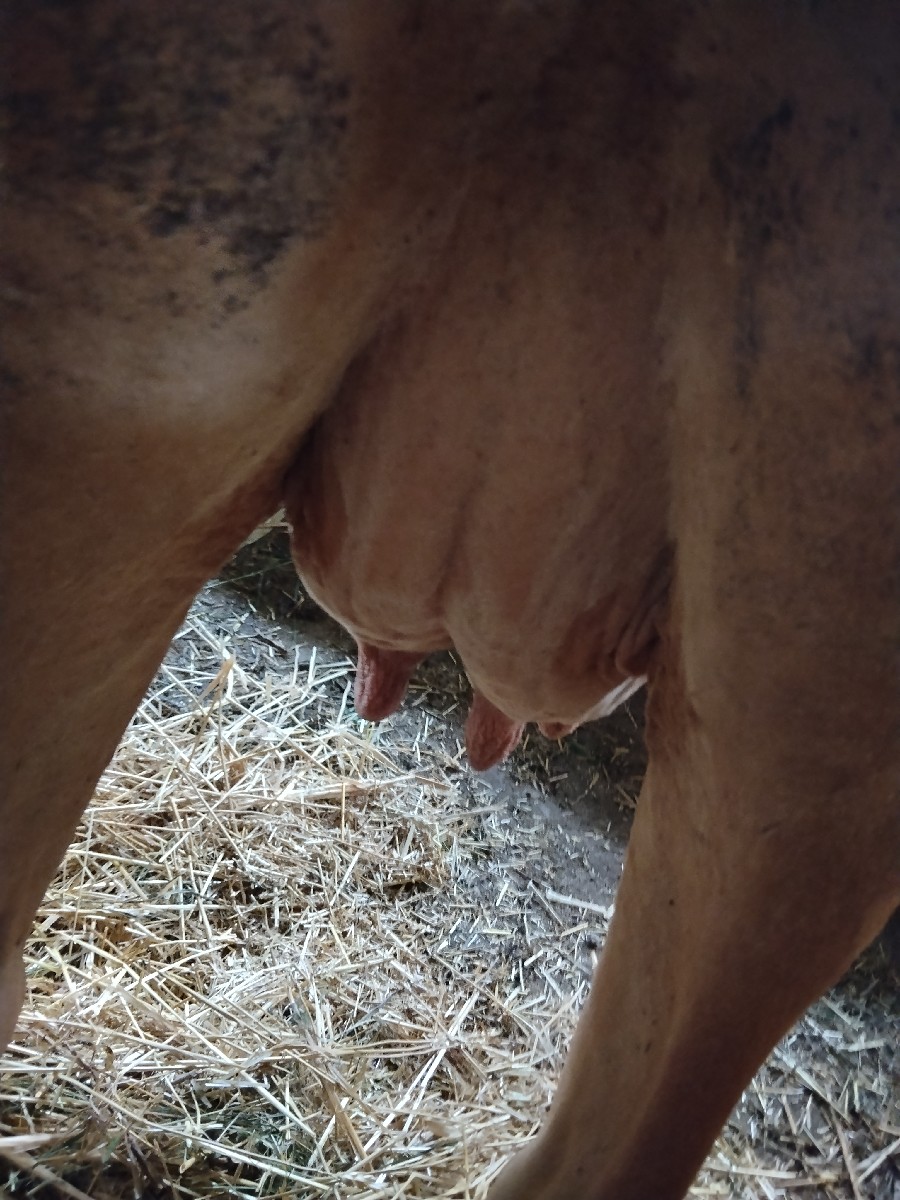 Post Image 2