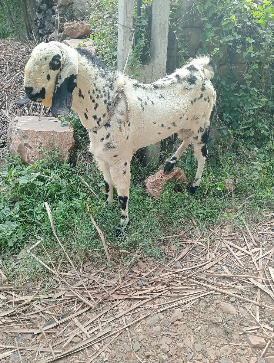 Post Image 1