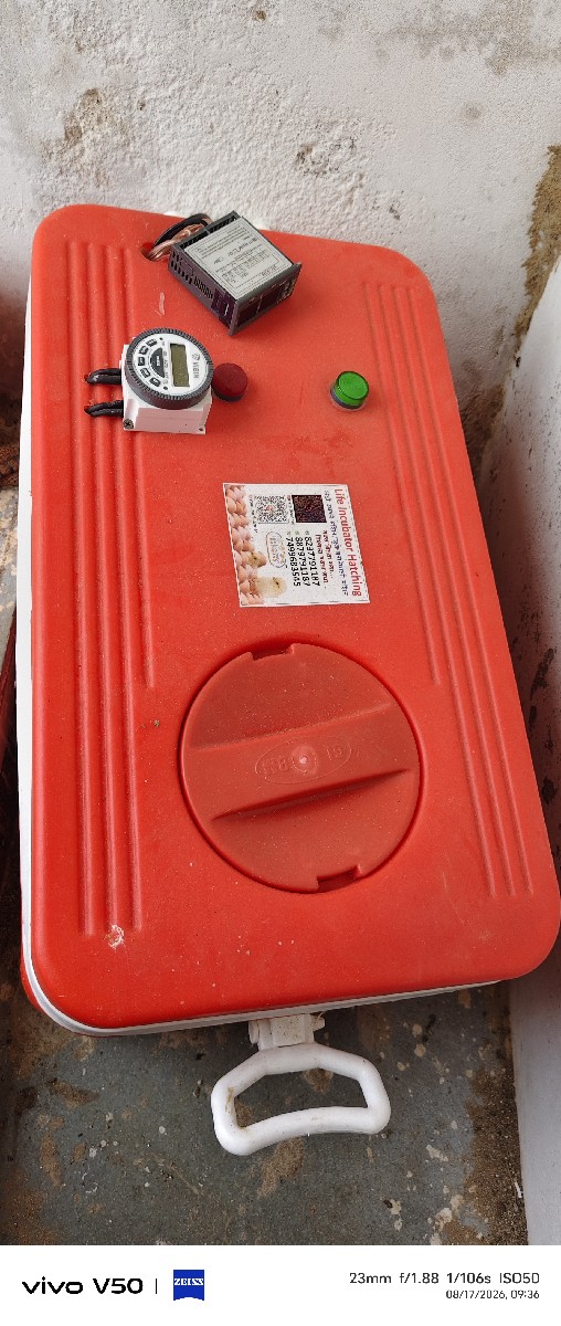 Post Image 1