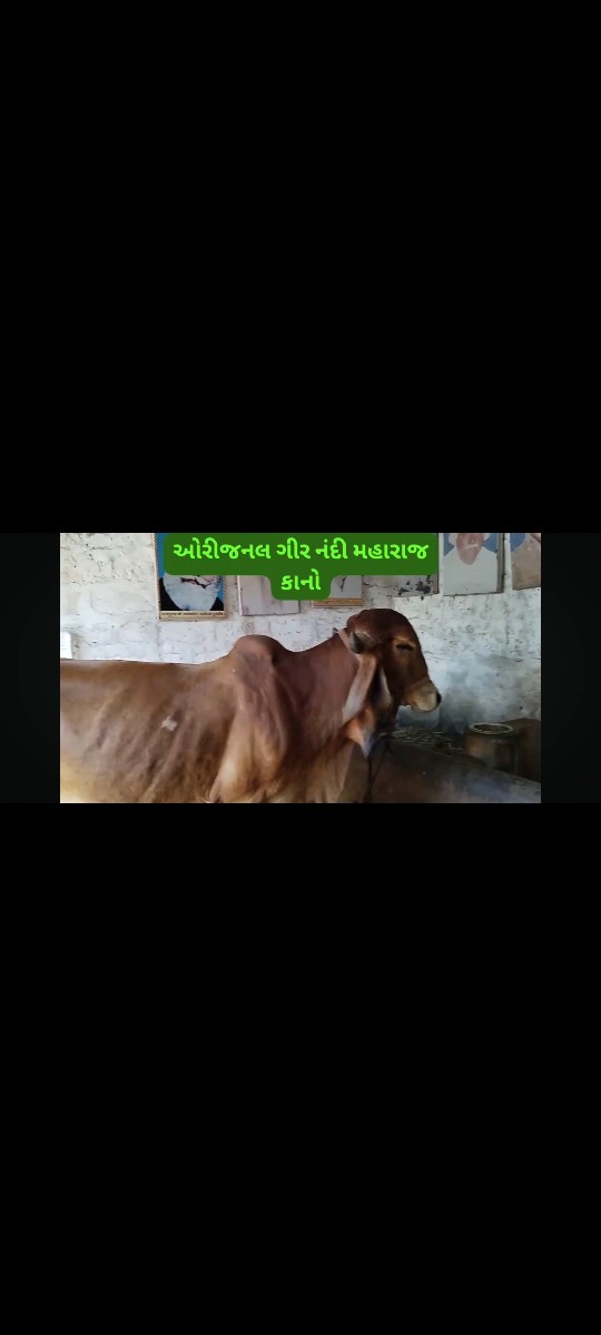 Post Image 6