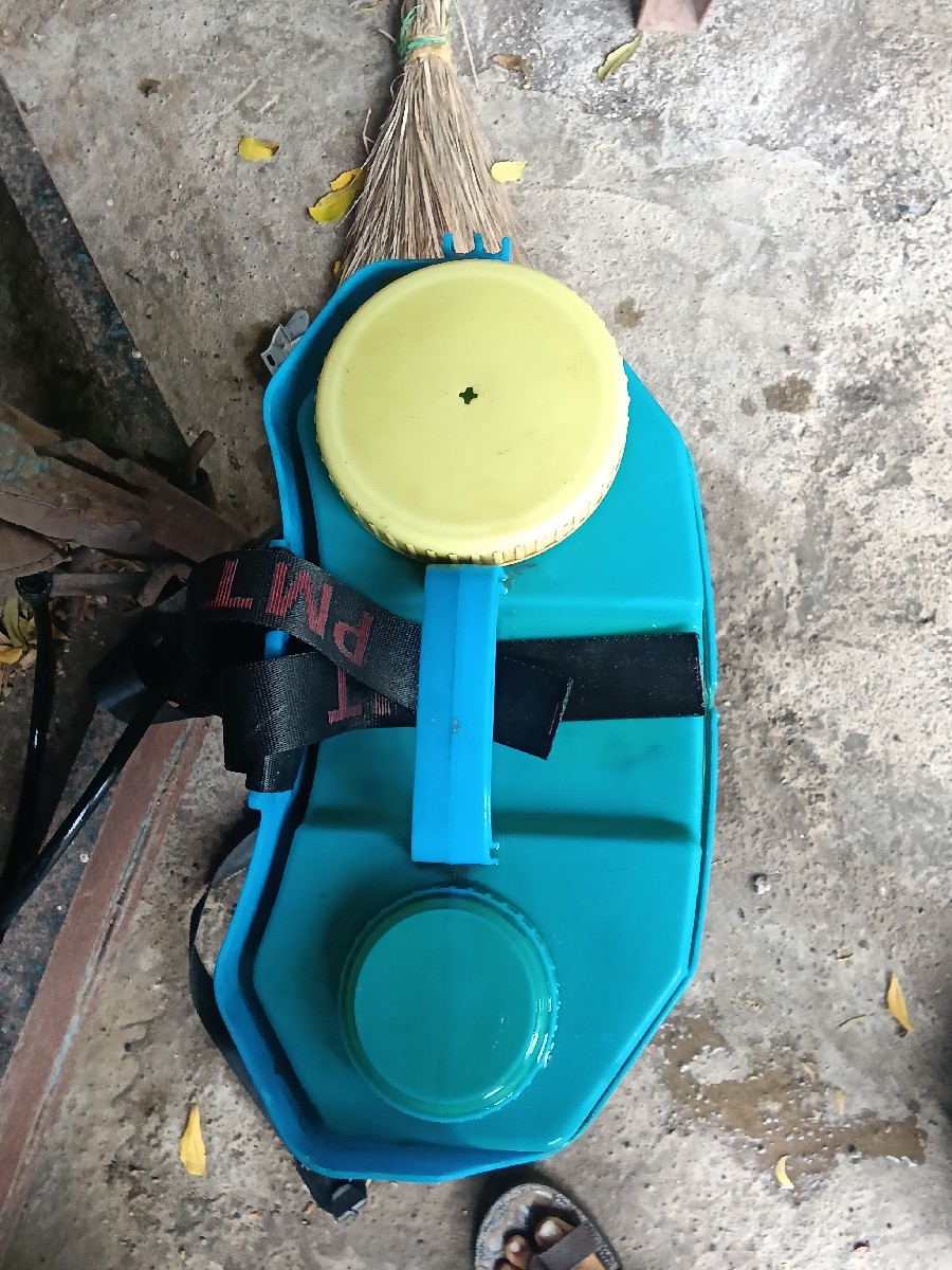 Post Image 2