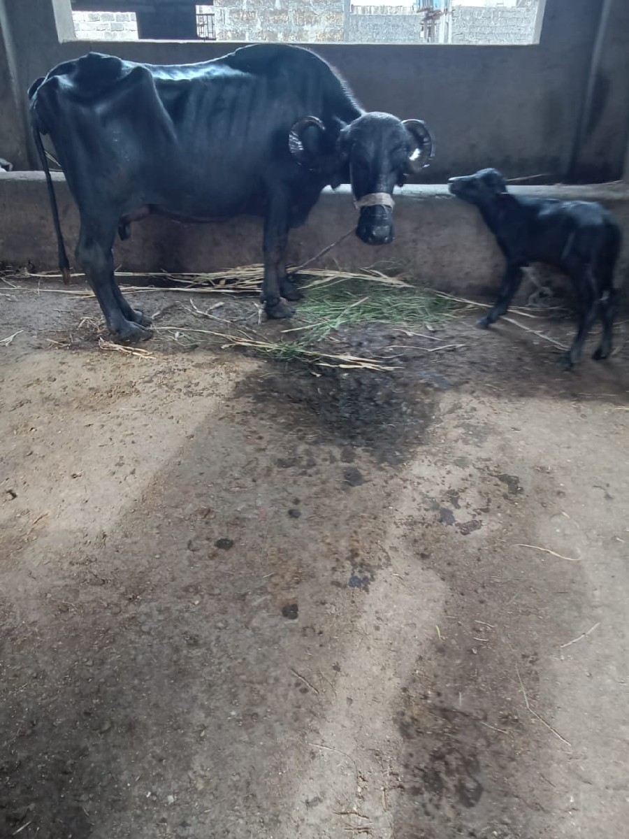 Post Image 2