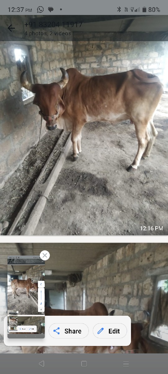 Post Image 3
