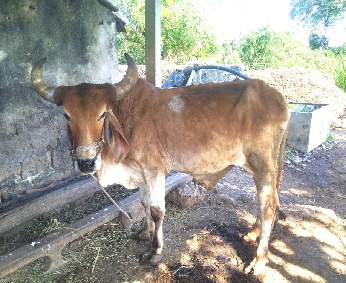 Post Image 2