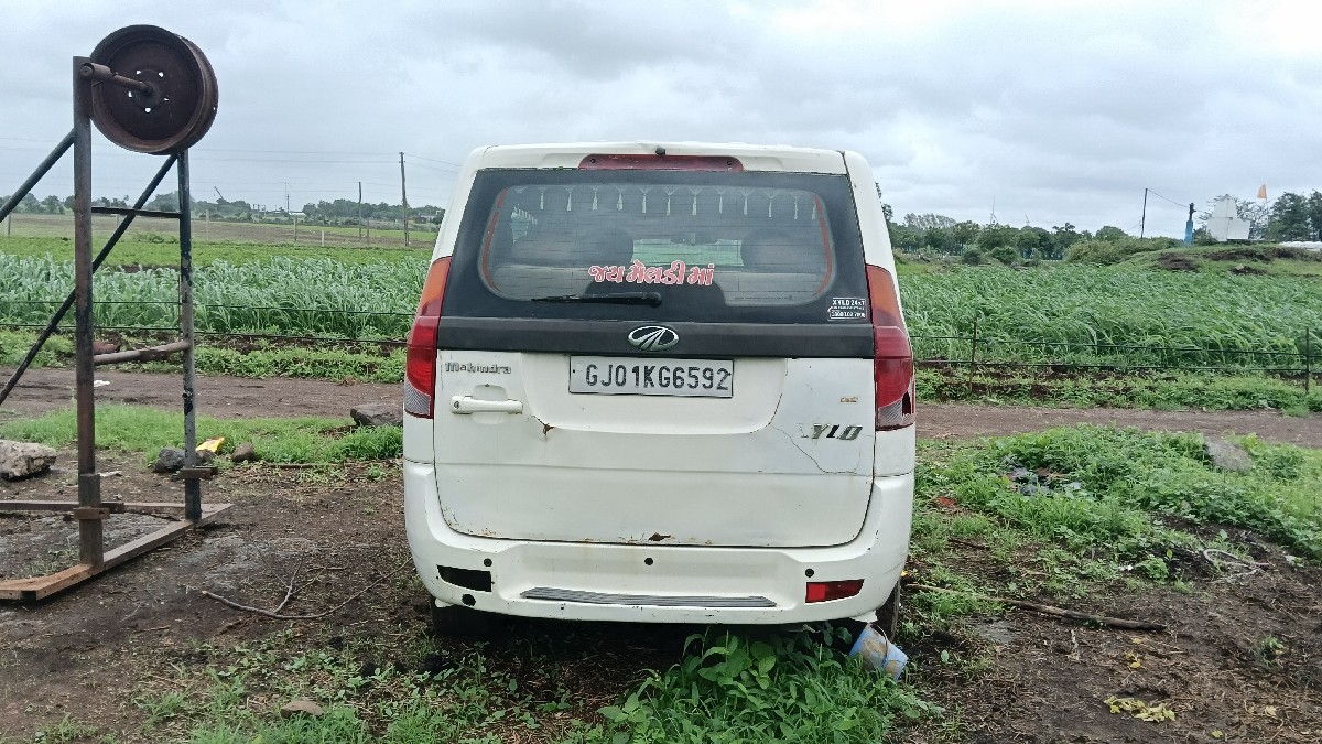 Post Image 3