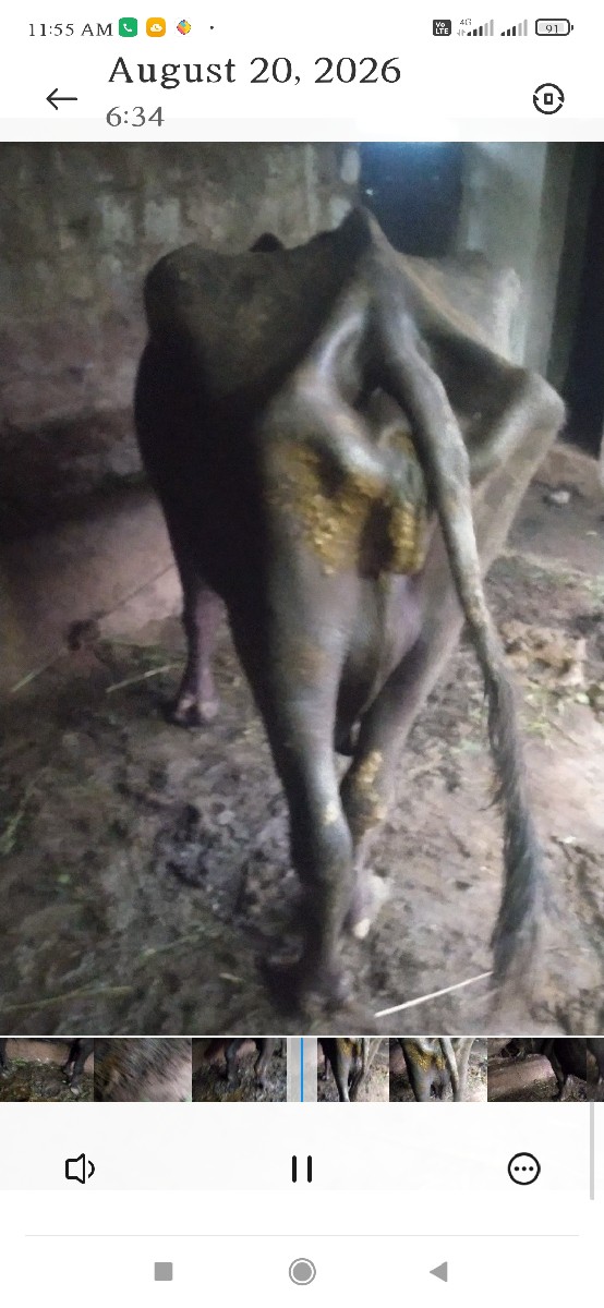 Post Image 4