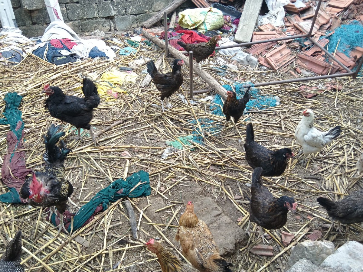 Post Image 3