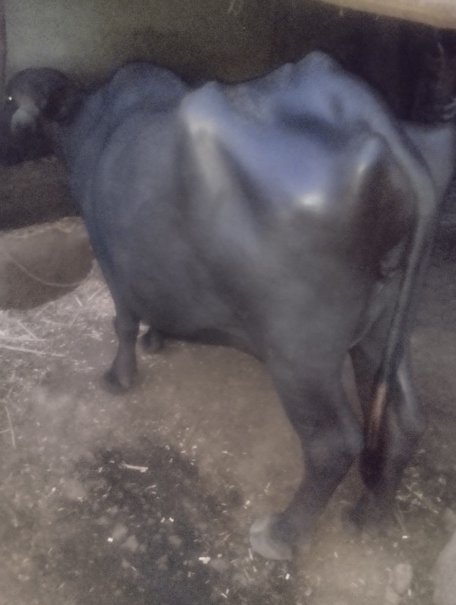 Post Image 3