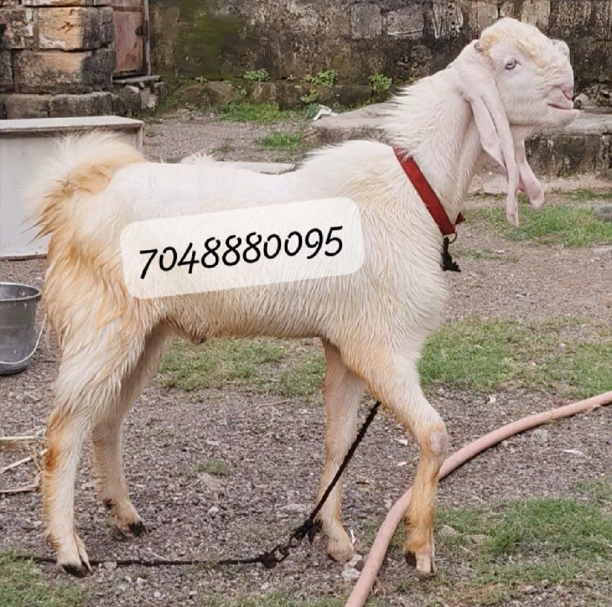 Post Image 3