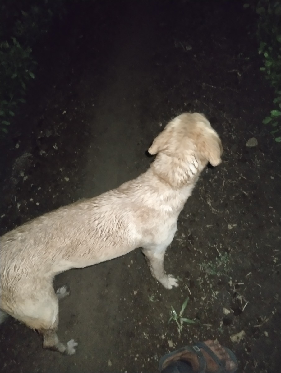 Post Image 1