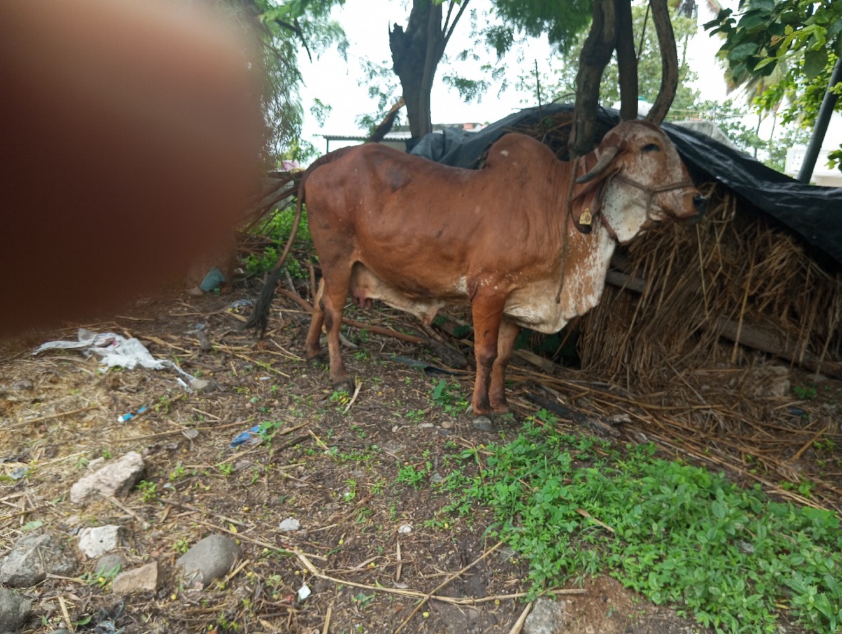 Post Image 2