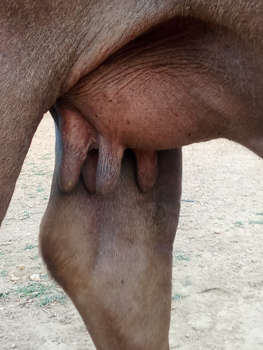 Post Image 2