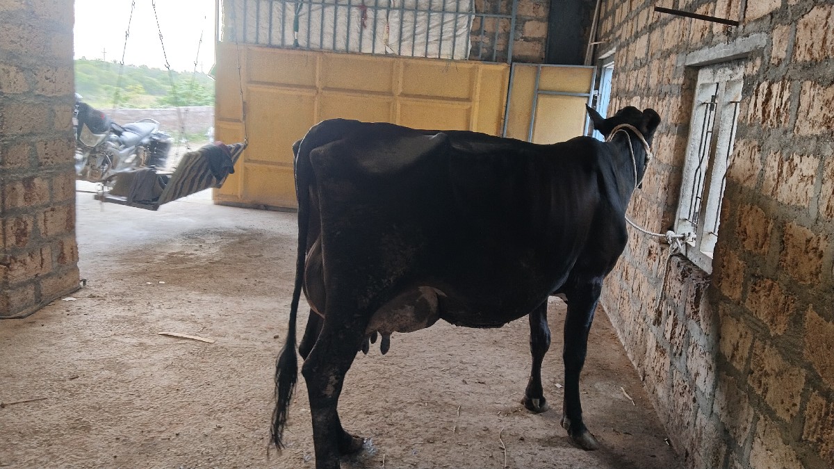 Post Image 2