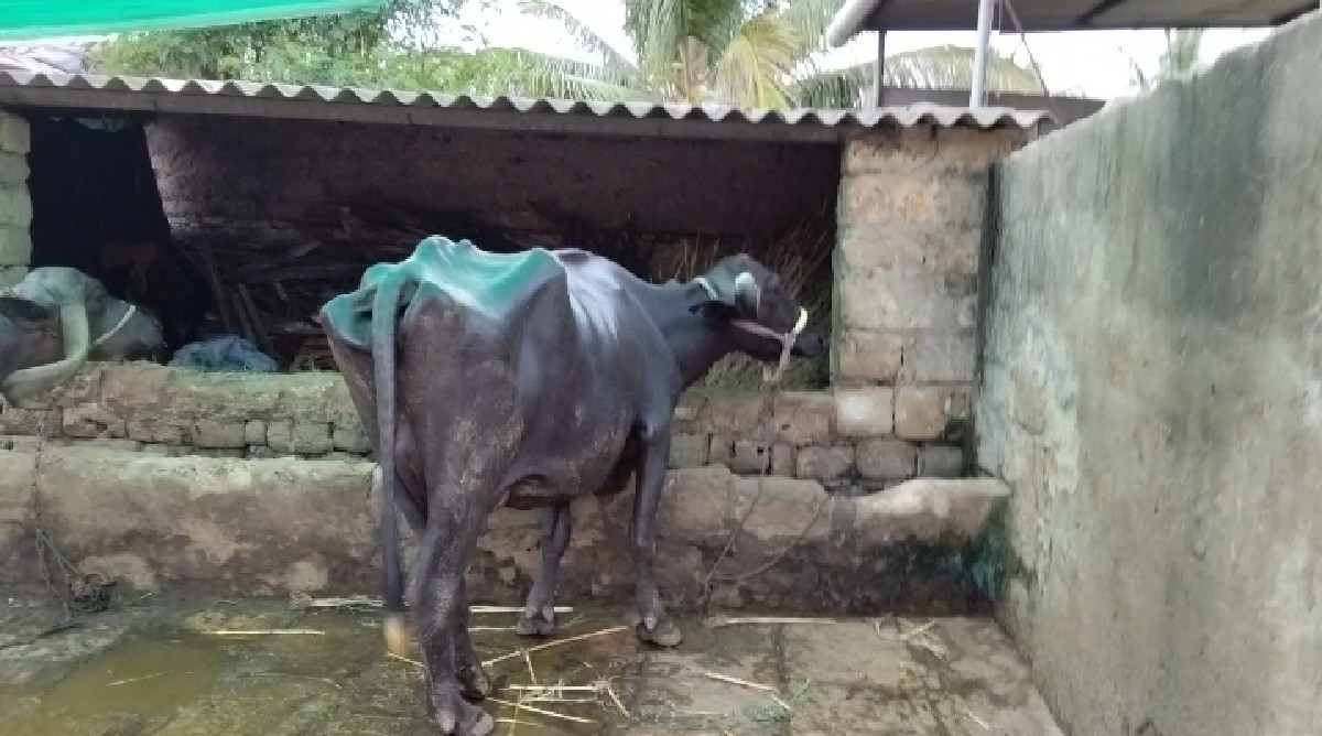 Post Image 2