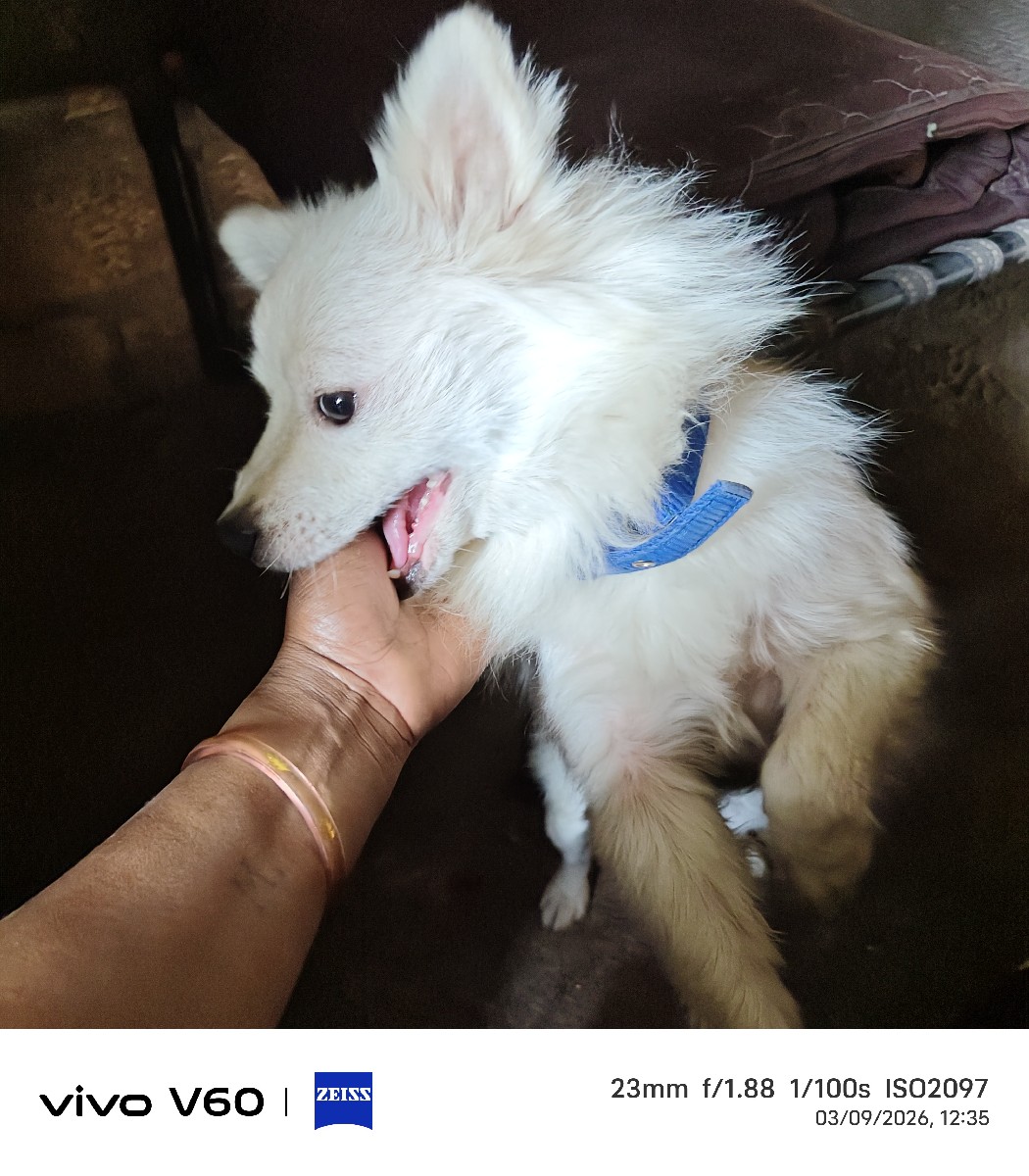 Post Image 3