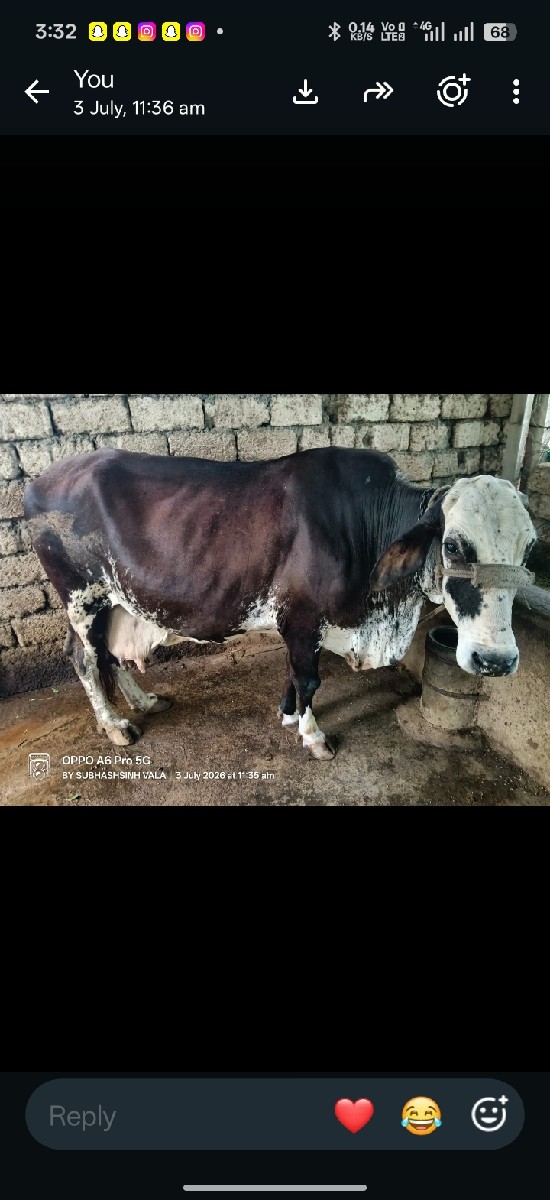 Post Image 2