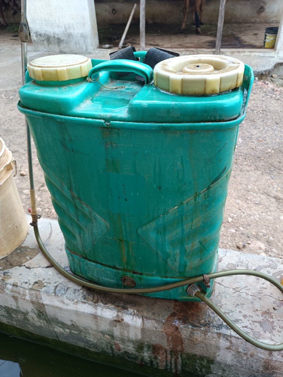 Post Image 2