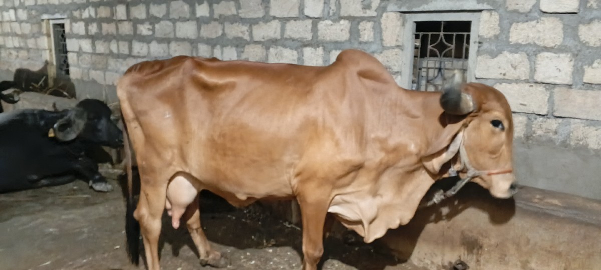 Post Image 2