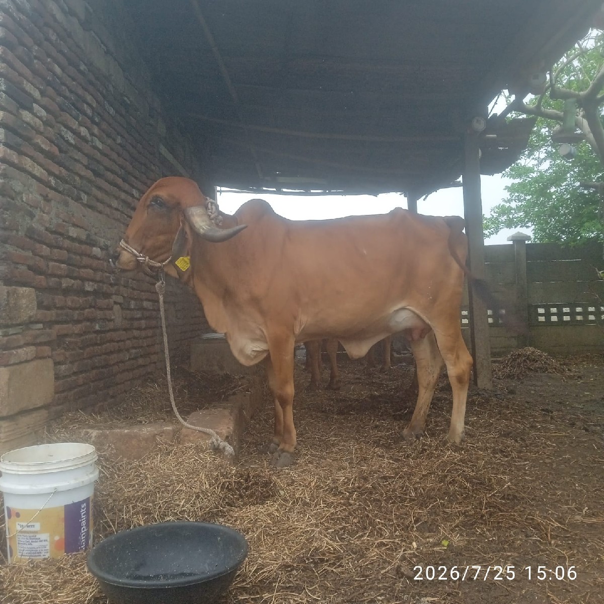 Post Image 3