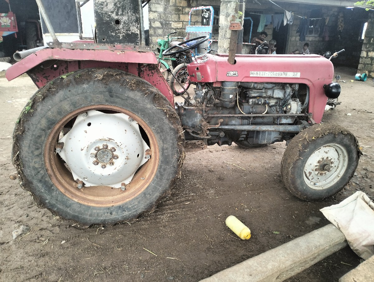 Post Image 3