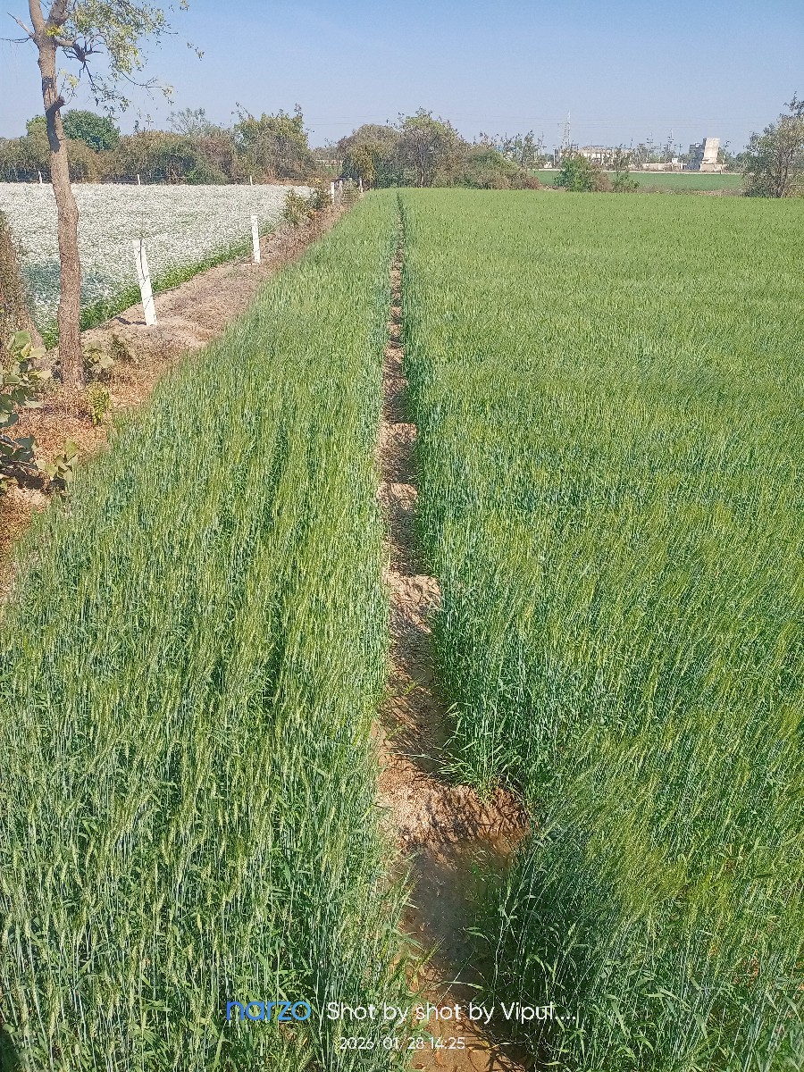 Post Image 2
