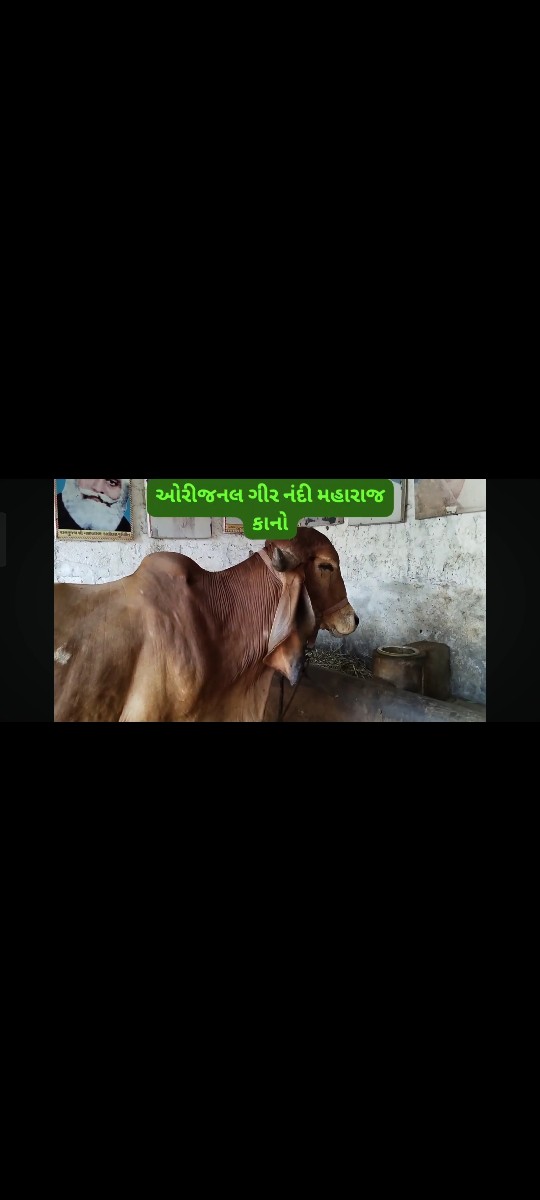 Post Image 5