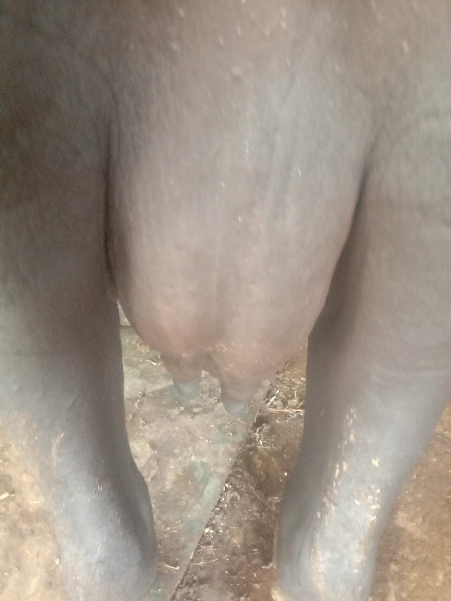 Post Image 5