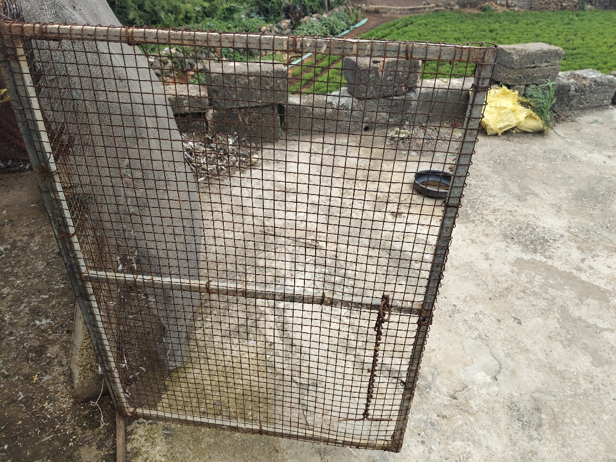 Post Image 2
