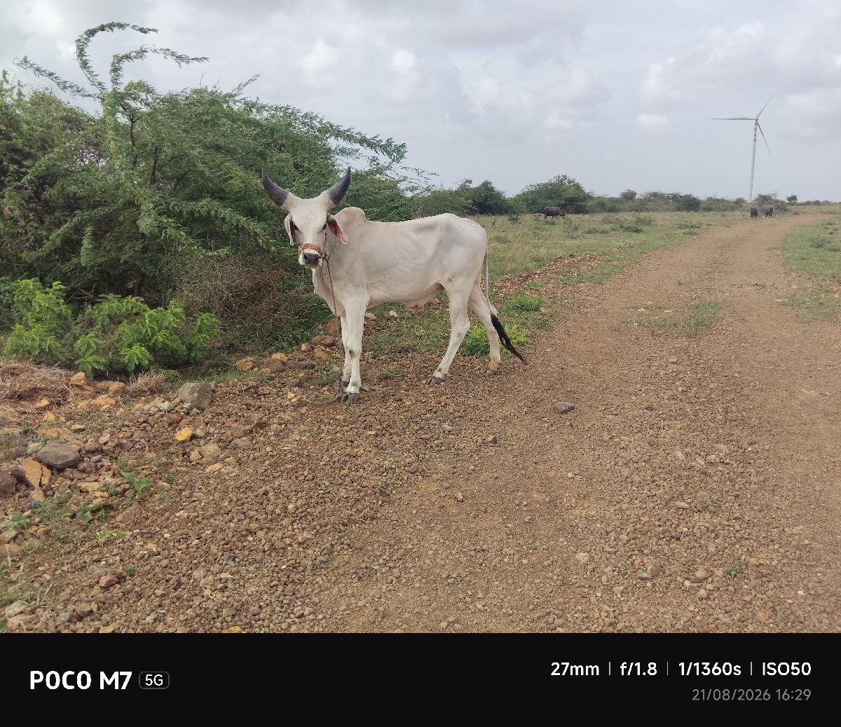 Post Image 3