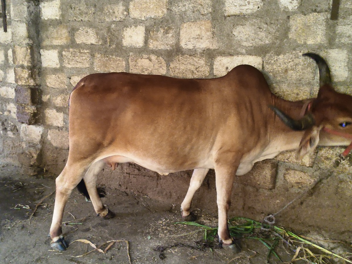 Post Image 2