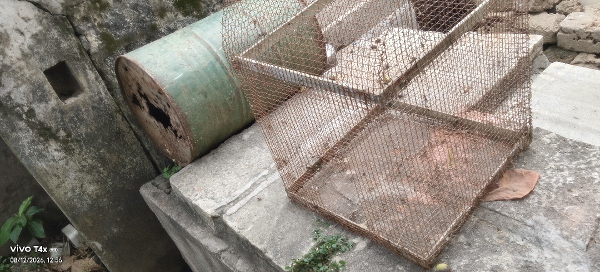 Post Image 2