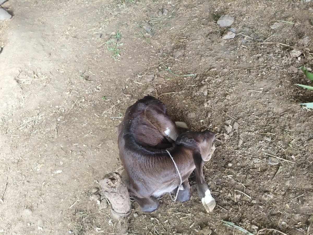 Post Image 2