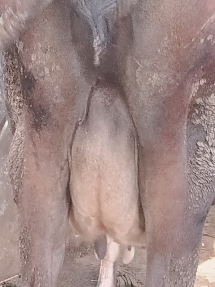 Post Image 2