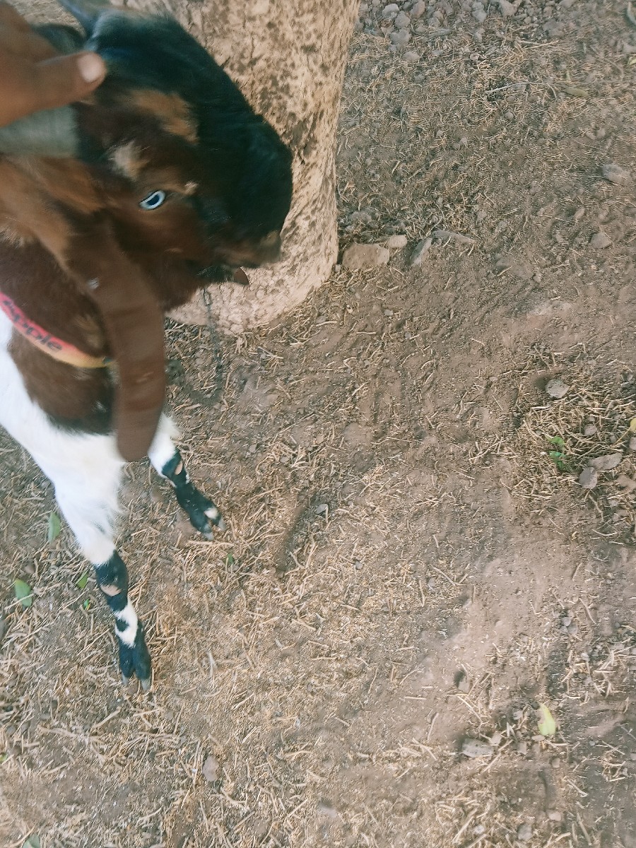 Post Image 3