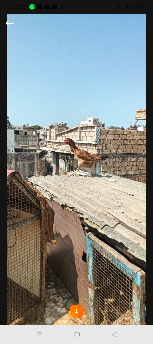 Post Image 3