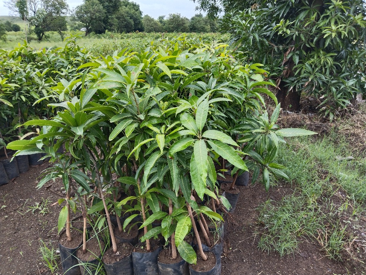 Post Image 5