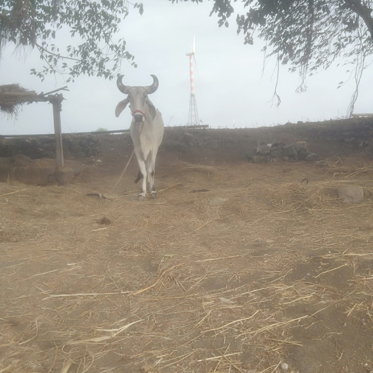 Post Image 2