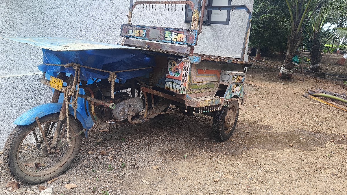 Post Image 3