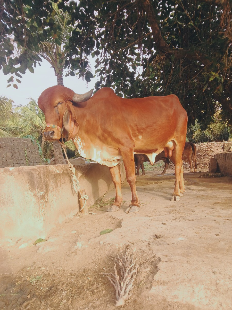 Post Image 3