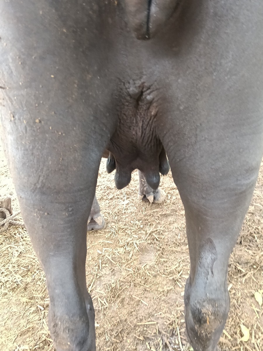 Post Image 2