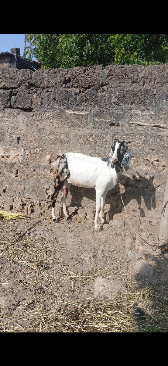 Post Image 1