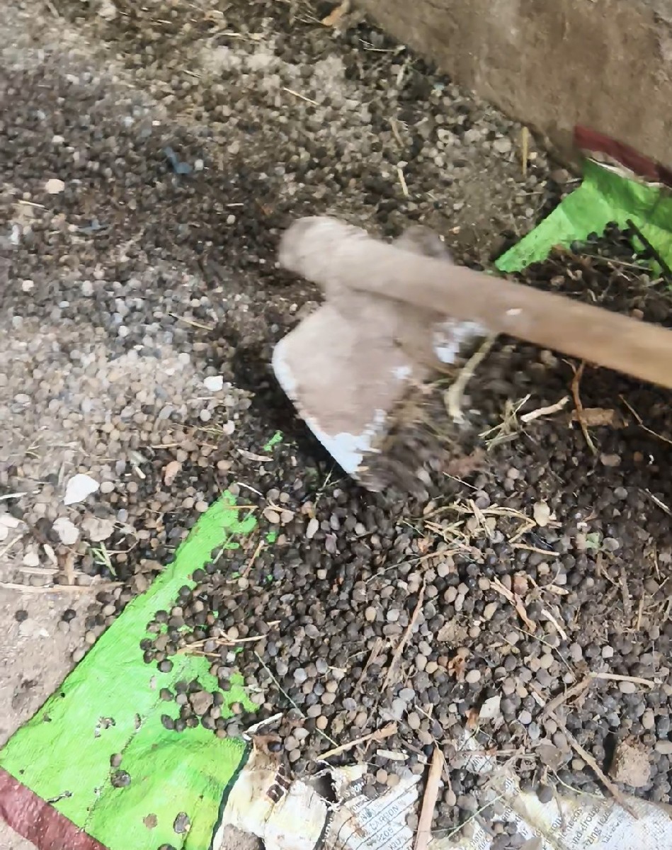Post Image 3
